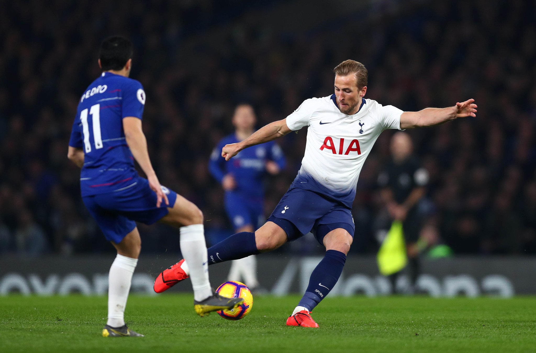 现出的不仅 现出的不仅